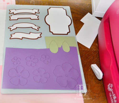 Spellbinders Grand Calibur, Beth Pingry