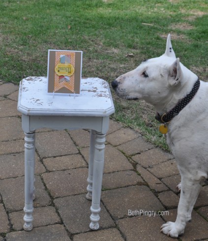 Beth Pingry - AJVD - Thank U