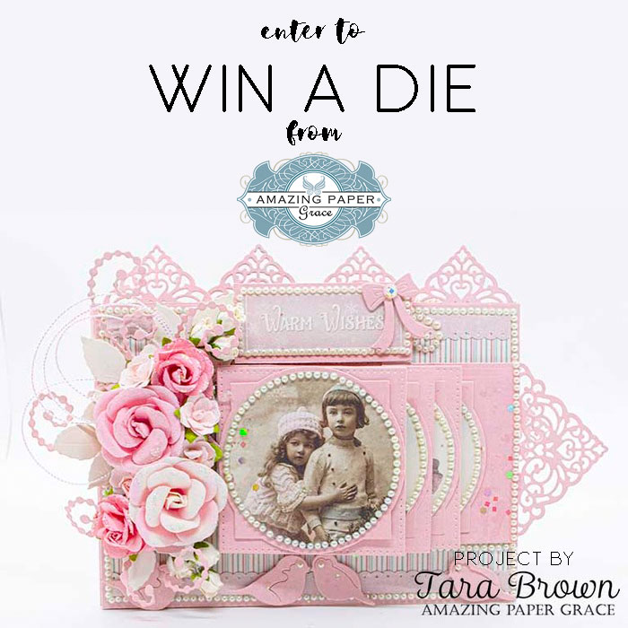 Win a die on Instagram - Christmas Cascade Blog Hop for Amazing Paper Grace 